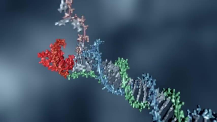 3D molecular animation, DNA helix with bound protein
