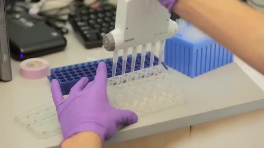 Lab b-roll: multi-channel pipette into microplate